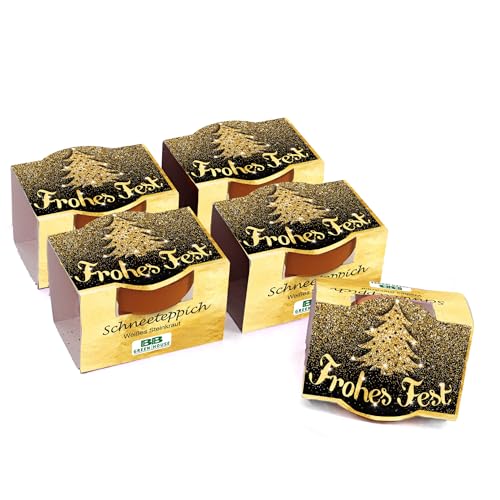 Bull & Bear 5er Set Mini Pflanzset 'Frohes Fest' mit Schneeteppich Samen im Topf 4,5cm, Steinkraut...