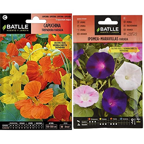 Capuchina TREPADORA Variada & Ipomea-Maravillas trepadora vda.