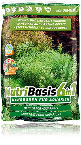 Dennerle NutriBasis 6in1 2.4kg