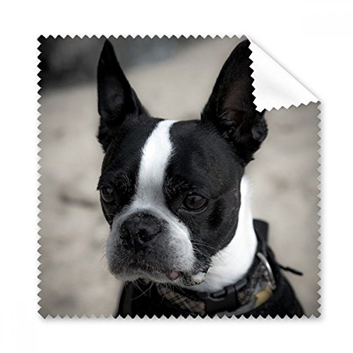 Chiffon de nettoyage bouledogue pour éliminer les traces de doigts sur écran et lunettes
