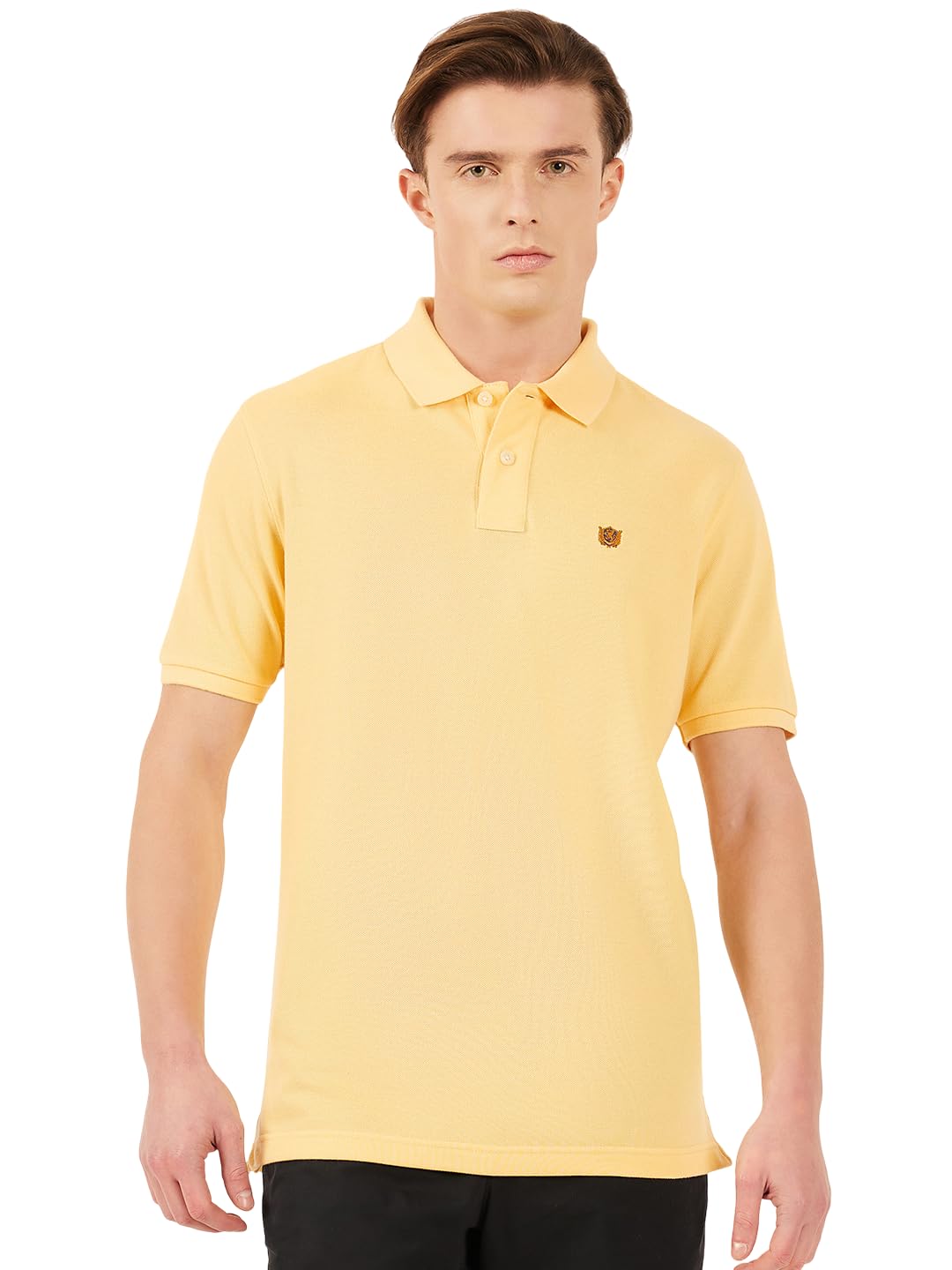 Solid Polo T-Shirt-image-1
