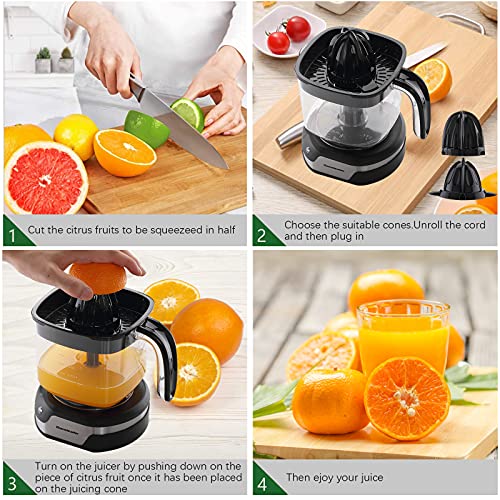 image for Homeleader Upgraded Orange Juicer, Stainless Steel Citrus Press for Ef