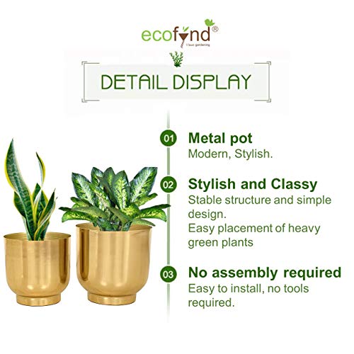 ecofynd 2 Pack Eva Metal Plant Pots (8 inch, 9 inch) | Indoor Planter Flower Pots with Drainage Hole | Home Garden Decor Planter for Living Room Bedroom Interior (Gold Finish)