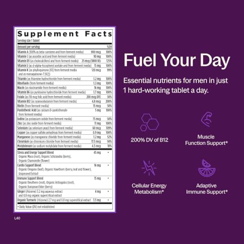 New Chapter Every Man's One Daily Multivitamin, 96 Tablets - image 3