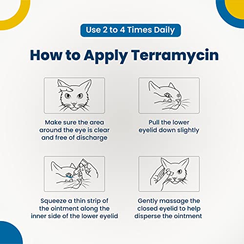 Terramycin 10000474 Antibiotic Ointment For Eye Infection Treatment In Dogs, Cats thumb #1
