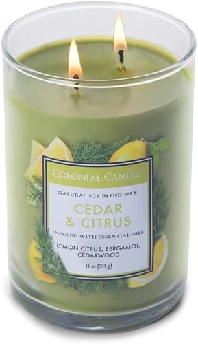 Vista 109 de Colonial Candle Vela perfumada en frasco, cilindros clásicos, brillo navideño, 2 mechas, 19 onzas, morado