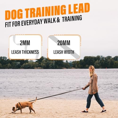 Loutep Long Line Dog Training Leash with Padded Handle, 30 ft, Black — view 6