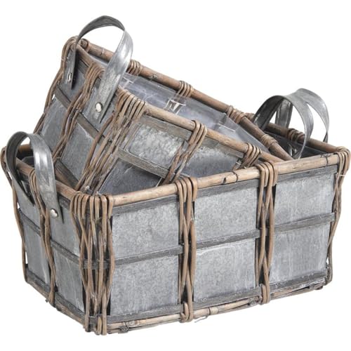 AUBRY GASPARD - Corbeilles en Osier - Bois et Zinc avec Doublure Plastique - 2 Anses - Pratiques...