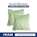 MIULEE Pack of 2 Decorative Throw Pillow Covers Faux Fur Fluffy New Luxury Series Style Square Cases for Couch Cushion Sofa Bedroom 18 x 18 Mint Green