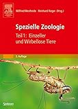 Spezielle Zoologie. Teil 1: Einzeller und Wirbellose Tiere (Sav Biologie)