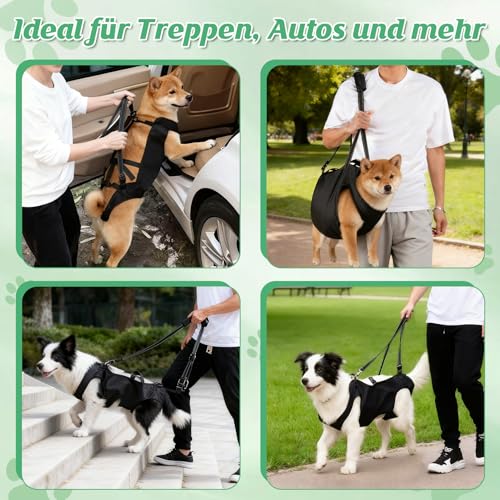 Tragehilfe Hund Groß, Verstellbare Hunde Tragehilfe Mit Griffen, Reflektierende Nähte, Tragbares Tragegurt Hund Ganzkörperhebehilfe Für Alt, Gelenkverletzungen, Arthritis Hunde (XL)