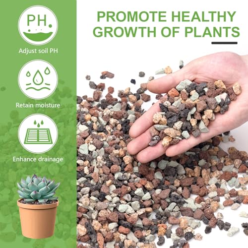 Image of 5lbs Mix Horticultural Lava Rocks for Plants, 1 /5 Inch Potting Soil Amendment for Succulents, Cacti, Bonsai, Decorative Gravel Plant Drainage Volcanic for Terrarium, Top Dressing