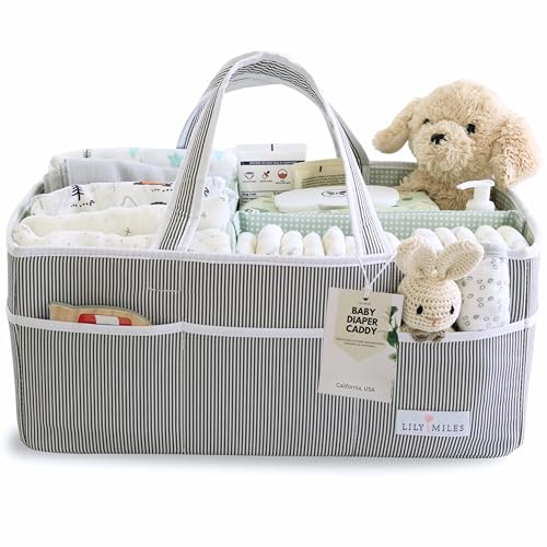Image of Lily Miles Baby Diaper Caddy - Organizer Tote for Infant Boy or Girl - Baby Shower Basket - Nursery Must Haves - Registry Favorites - Newborn Caddie Car Travel - Gray/Mint, Extra Large