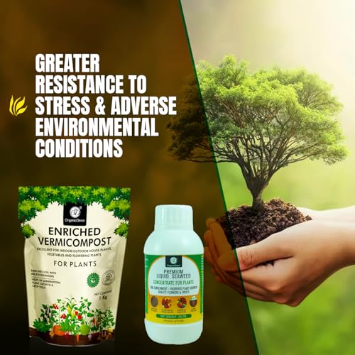 Image of OrganicDews Enriched Vermicompost 1 Kg + Liquid Seaweed Fertilizer 250ml Bio Stimulant - Plant Growth Enhancer, Soil Conditioner for Indoor & Outdoor