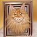 Custom Pets Portrait, 3D Custom Needle Felted Dog Cat Figurine for Pets Lovers, Handmade Custom Wool Felting Dog Cat Replica for Memorial Loss Gift (Head+Frame)