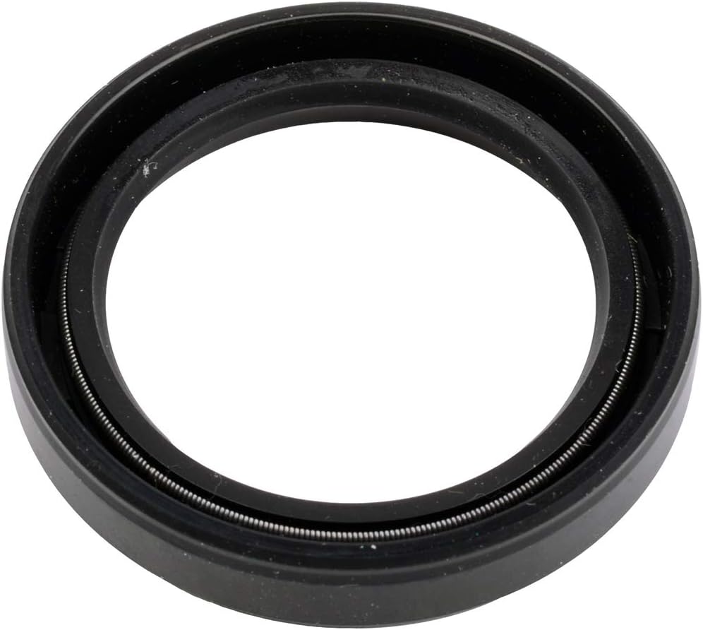 SKF Seal - 10924