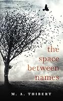 The Space Between Names 0578874210 Book Cover