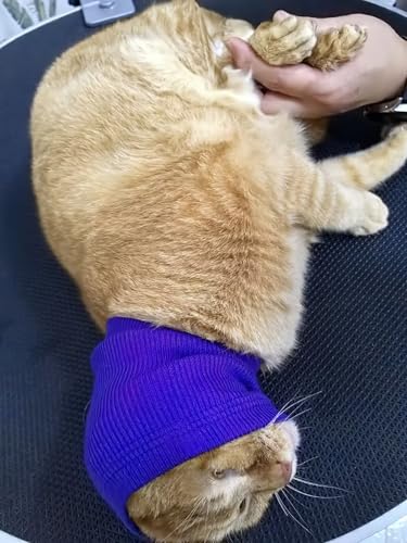 Image of Cat Ear Wrap Noise Protection - Anxiety & Stress Relief Grooming Headband - Ear Wrap for Pets Purple S