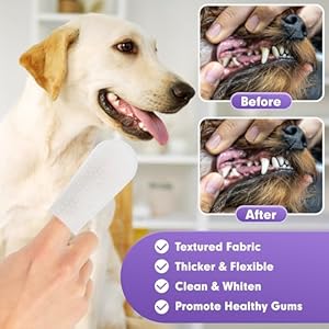 Cyeollo Dog Dental Wipes for Teeth Cleaning Pet Finger Wipes Reducing Plaque  Tartar Breath Freshener Disposable Gentle Cleaning  Gum Care Pet Wipes for Dogs Cats Norinse Toothbrush 50 Counts  Cucciolini Doodles Cyeollo dog dental wipes for teeth cleaning pet finger wipes reducing plaque  tartar breath freshener disposable gentle cleaning  gum care pet wipes for dogs cats no rinse toothbrush 50 counts   cucciolini doodles