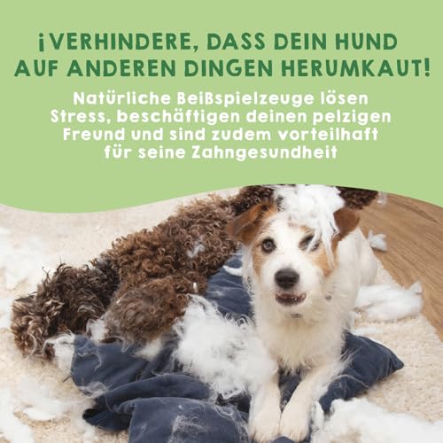 MAIKAI Packung 3 Kauknochen für Hunde L – Käse aus Yakmilch – Hartkäse Kauartikel für Zahnpflege – Langlebiger Kaustab