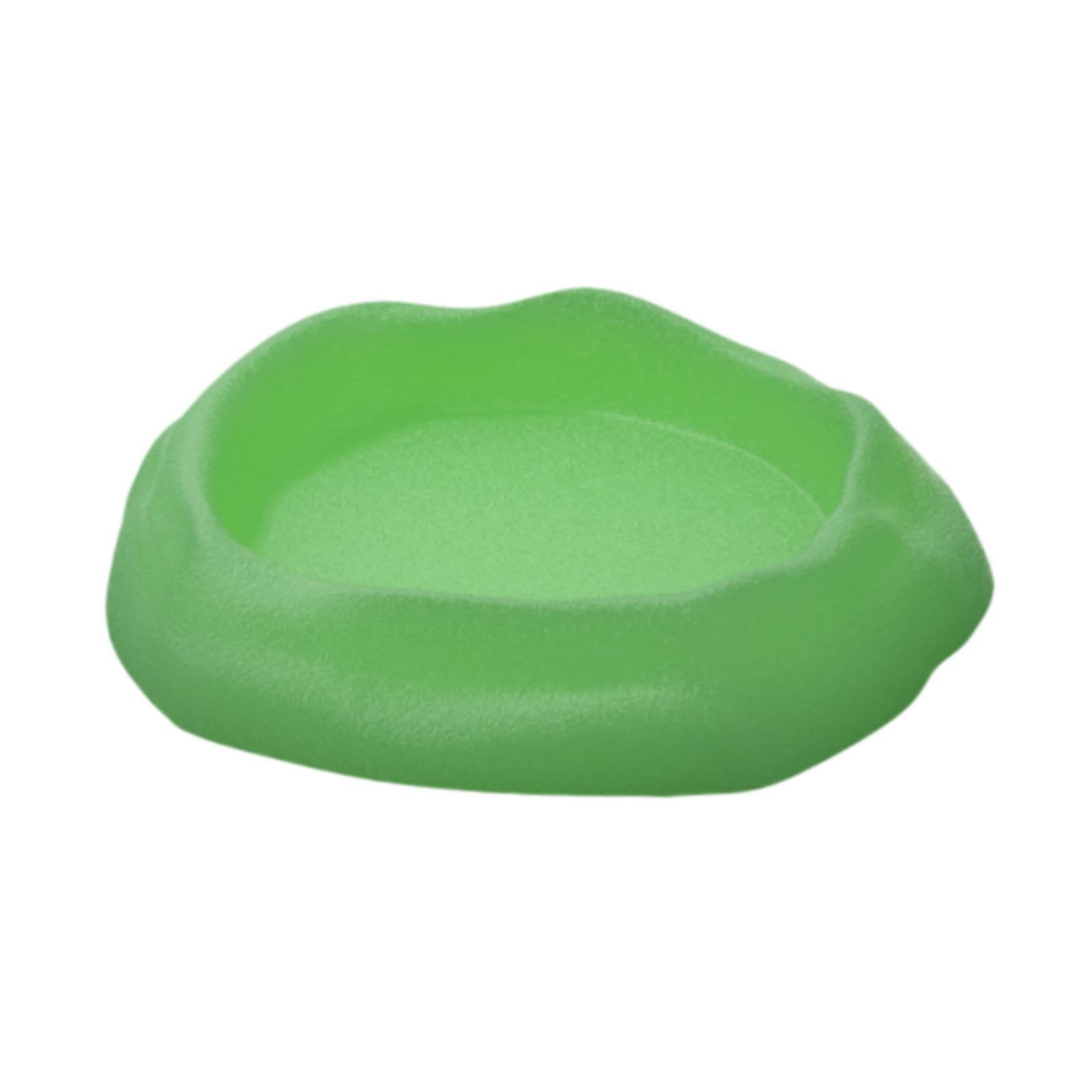 Baoblaze Reptile Water Dish Feeding Dish Small Terrarium Decor Drinking Tray for Scorpion Lizard Amphibian Breeding Box, Green