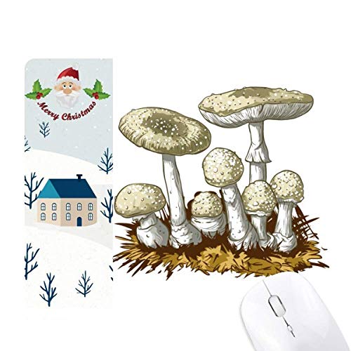 Tapis de souris champignons illustrés : accessoire de bureau déco pour ordinateur