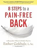 8 Steps to a Pain-Free Back: Natural Posture Solutions for Pain in the Back, Neck, Shoulder, Hip, Knee, and Foot (Remember When It Didn't Hurt) of unknown on 01 September 2008