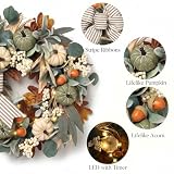 Valery Madelyn 20'' Fall Wreaths for Front Door with LED Lights