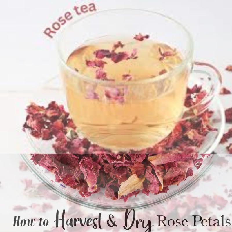 Image of HERBALPRASH Dried Rose Petals - 500g | Gulab Patti | Dry rose petal edible | For Hair, Skin &Tea | Sun Dried | Decoration for Jam, Food, Sweets, Chikki & Dry Fruit, Making Water, Tea