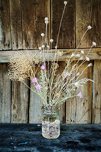 1Lb Fluorite Crystal Aquarium Gravel Polished Tumbled Stones Irregular Shaped Crystal Chips Bulk Natural Gemstone Rocks Vase Filler Fish Tank Gravel Home Decoration (450 Gram) #TOP2