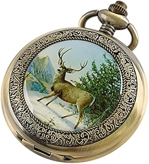 Tiong Antique Mechanical Pocket Watch with Chain Steampunk Skeleton Roman Numeral Men Pocket Watches Pendant Best Gifts & Gift Box