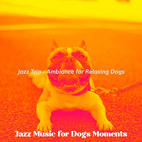 Amazon MusicでJazz Music for Dogs MomentsのJazz Trio Ambiance for