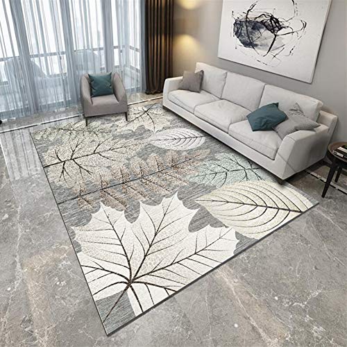 Ommda Alfombras Modernas Salon Dormitorios 3D Grandes Rectángulo Anti