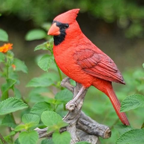 Hi-Line Gift Ltd Cardinal on Branch Statue Cover