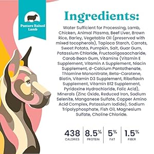Strong Gold Canned Canine Meals for Grownup & Senior Canines – Nutrientboost Hund-N-Flocken Made with Actual Lamb and Wholesome Complete Grains – Excessive Calorie, Excessive Protein Moist Canine Meals – 6ct/12.5oz Cans