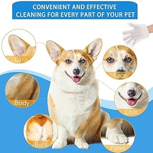   Unscented-Extra-Thick-Pet-Cleaning-Wipes-for-Dogs-CatsDog-Washing-Bathing-Deodorizing-Grooming-Gloves-for-Daily-Care-and-Traveling-with-EDI-Water-Tea-Tree-and-Aloe-Extract-6