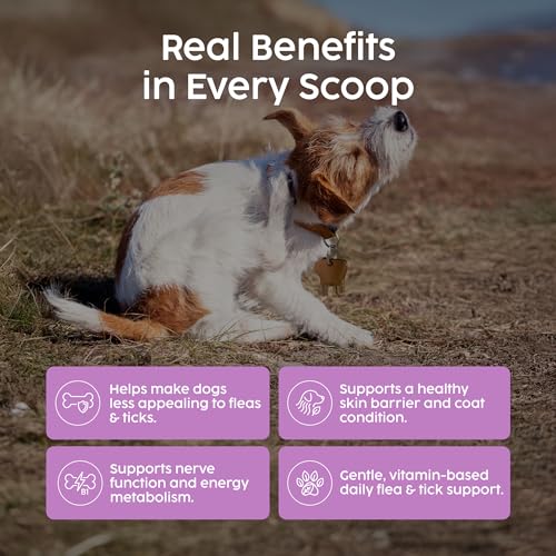 Zanipro Tick & Flea Powder for Dogs - 100% Natural Herbs Thiamine & Brewers Yeast, 100g Flea Prevention for Dogs, Effective Dog Tick Repellent, Dog Skin and Coat Supplement - Image 3