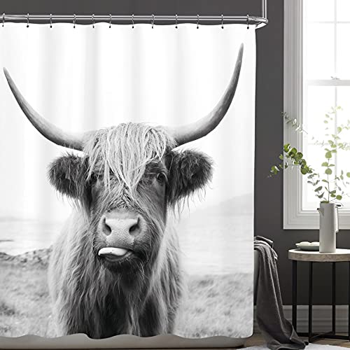 Best Masculine Shower Curtains