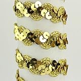 CINTA ONDULINA CON TIRA DE LENTEJUELAS BORDADAS (ORO, 5 METROS)