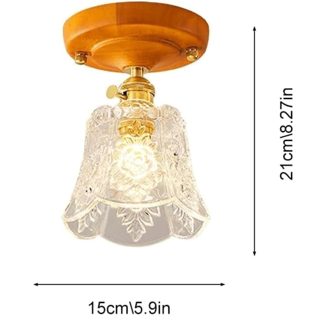 Luces de Cocina con Luces de Techo de Hoja de Loto de Estilo Antiguo, Luces de Pasillo, Accesorios de iluminación para vestidor de balcón