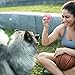 Swity Home Tennis Balls, 12 Pack Training Balls for Lessons, Practice, Playing with Pet (Pink)