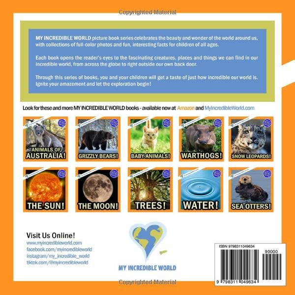 Animals of Michigan!: A My Incredible World Picture Book for Children (My Incredible World: Nature and Animal Picture Books for Children) - Image 2
