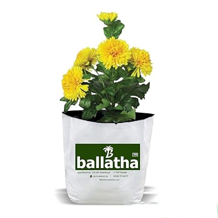 ballatha 550 GSM High Density Polyethylene Grow Bag (2 Bags) - 20 x 20 x 35 cm - White Outside, Black Inside - Pack of 2