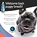Emmy's Best EBPP Advanced Pet Dental Care Water Additive - Premium Cat & Dog Dental Care and Dog Breath Freshener - No Brush Formula Tartar & Plaque Remover for Dogs Teeth