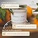 Wax & Wane Citrus + Mint Modern 8oz Handmade Candle For Men and Women - Long Burning 40+ Hours Candles For Home, Bedroom, and Bathroom - 100% Natural Soy Candles Made in the USA