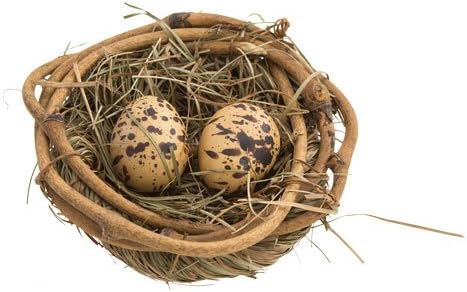 3 Inch Natural Twig Bird Nest With Eggs -Great for Wedding Favors, Party Favors, Florals or Baby Showers