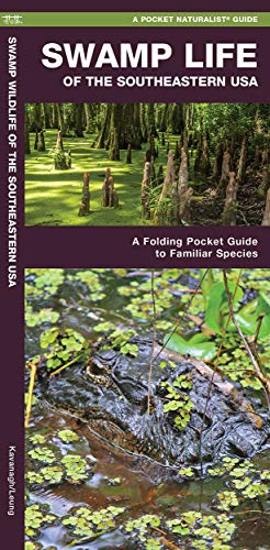 Swamp Life of the Southeastern USA (Nature Observation North America)