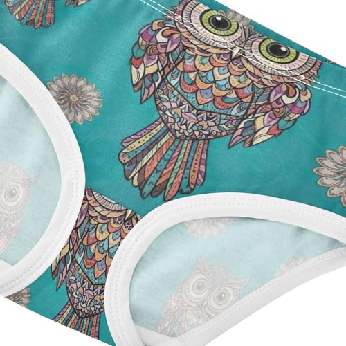 Cotton Toddler Girls Underwear Vintage Cartoon Owls Floral Blue Panties Little Girl Personalized Underpants Briefs 2t4