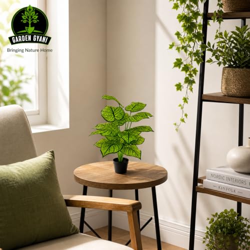 Image of Artificial Philodendron Plant with Black Pot - 26 Inch Tall Faux Green Decorative Plant for Indoor Outdoor Home, Office, Balcony & Living Room Decor