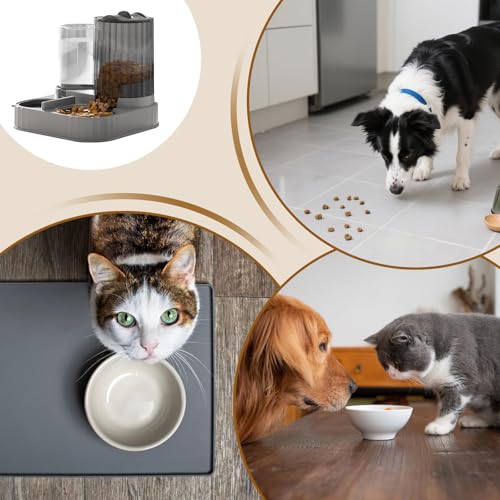 Distributeur de nourriture pour chatons et chiots double fonction eau - 8